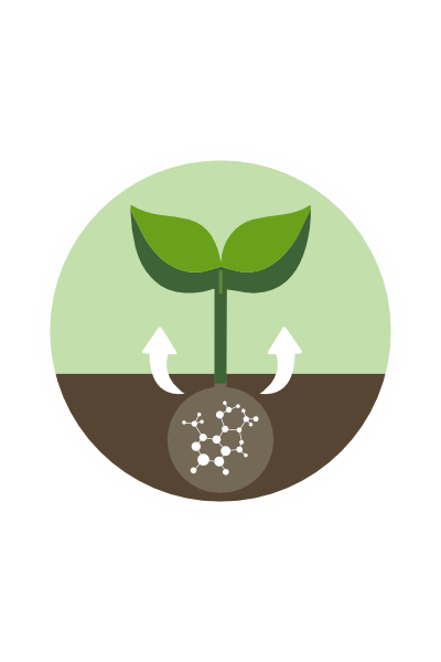 Bio Stimulants & Nutrients